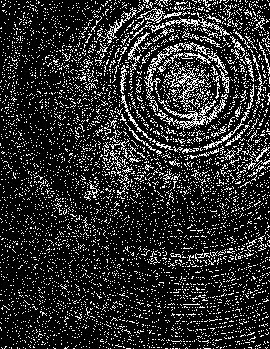 Radierung: konzentrische Kreise mit geflügelter Form