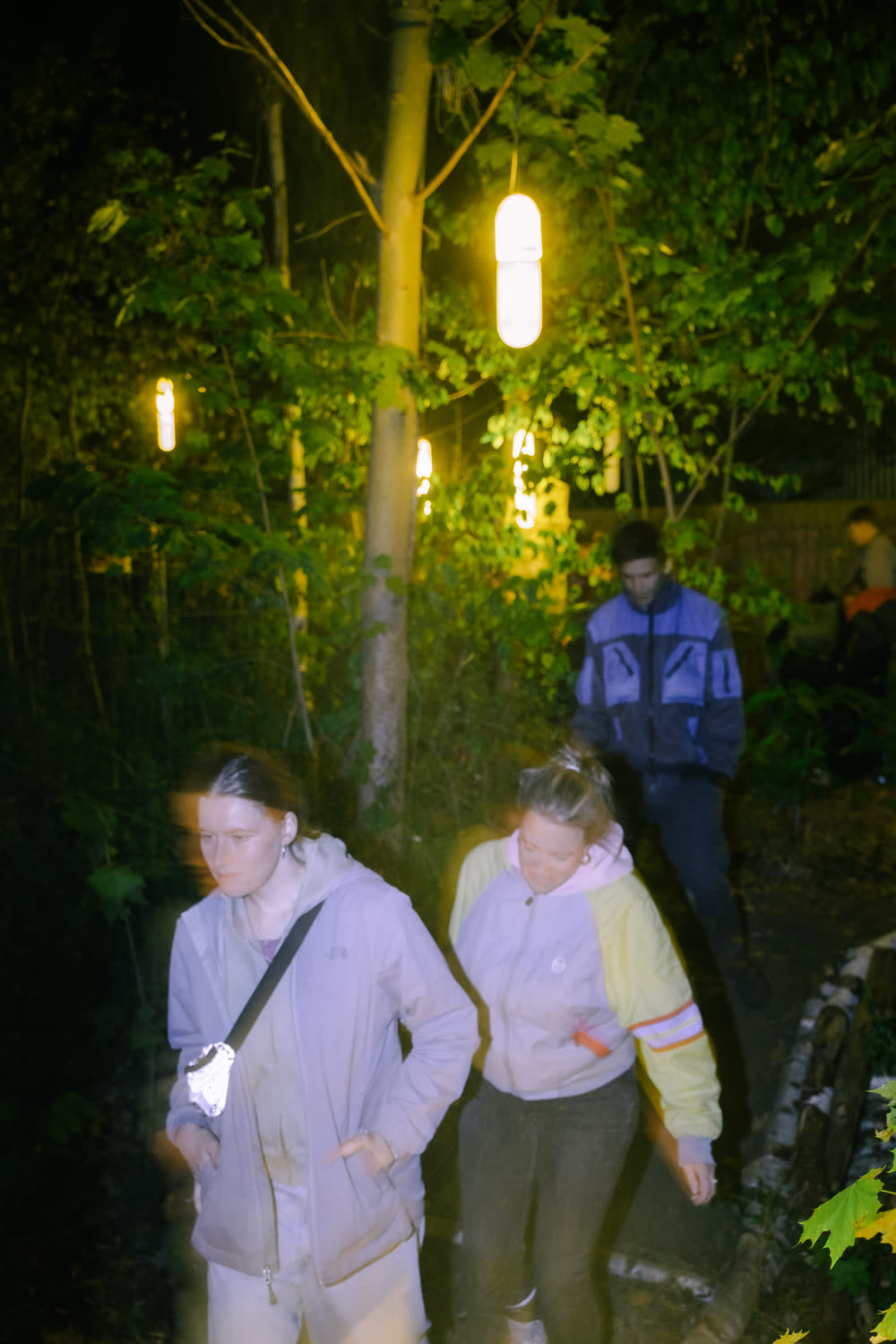 Besucher:innen gehen bei Nacht einen Pfad entlang, gesäumt von leuchtenden Kapseln in den Bäumen