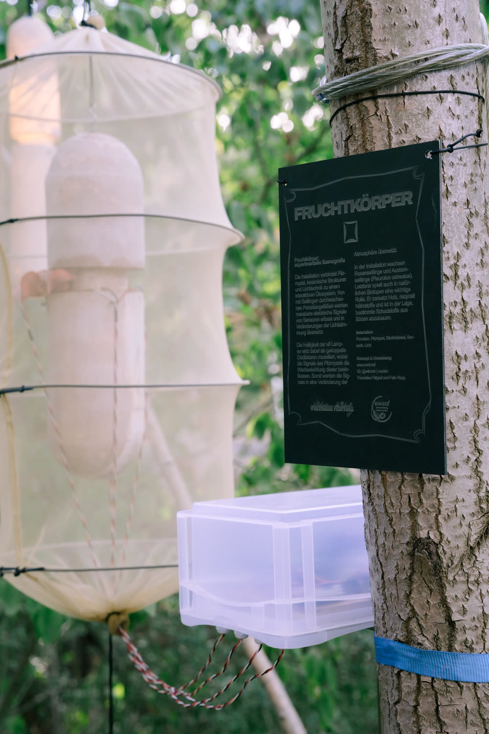 Infoschild „Fruchtkörper