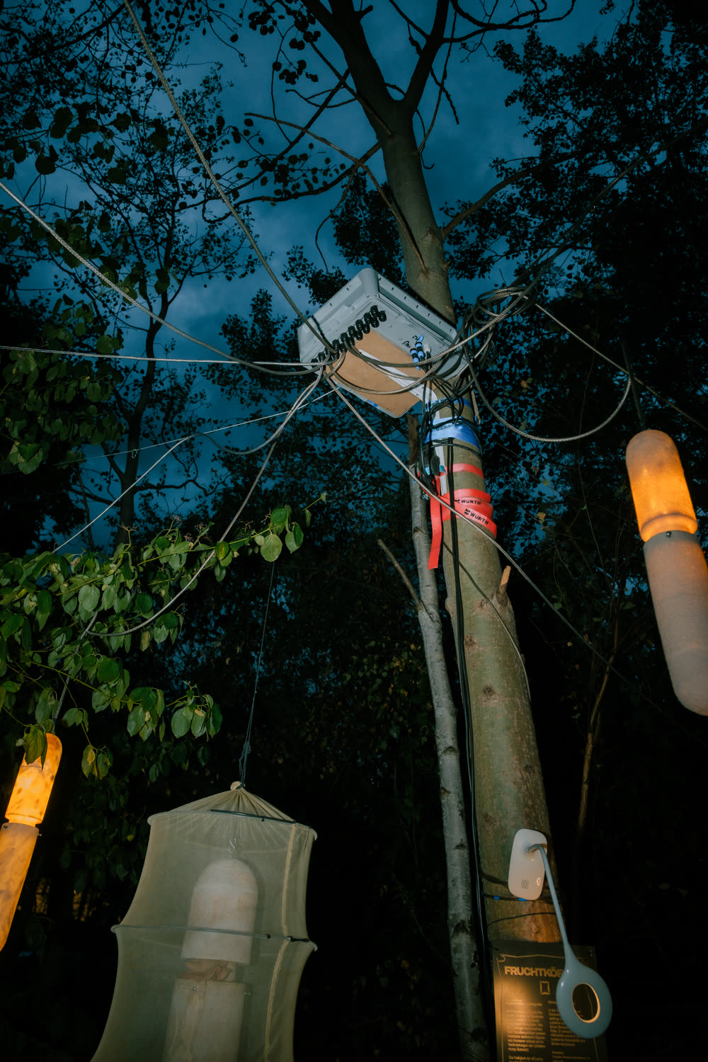 Elektronikbox an einem Baumstamm befestigt, umgeben von Kabeln, in der Abenddämmerung