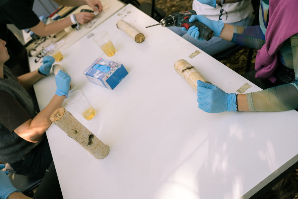 Workshop-Teilnehmende mit Handschuhen bohren Löcher in Holzstämme für die Pilzzucht