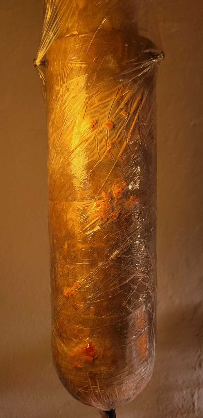 Hängende Folienröhre, von innen warm beleuchtet, mit Pilzansätzen