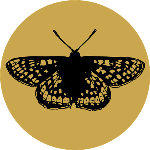 Icon Goldener Scheckenfalter