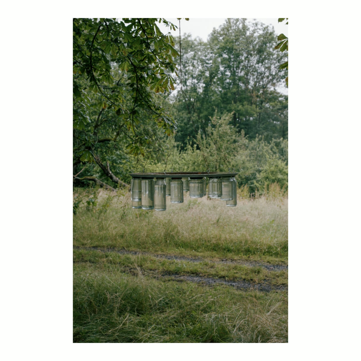 Glaskörper-Installation mit wassergefüllten Gläsern, hängend auf einer Wiese
